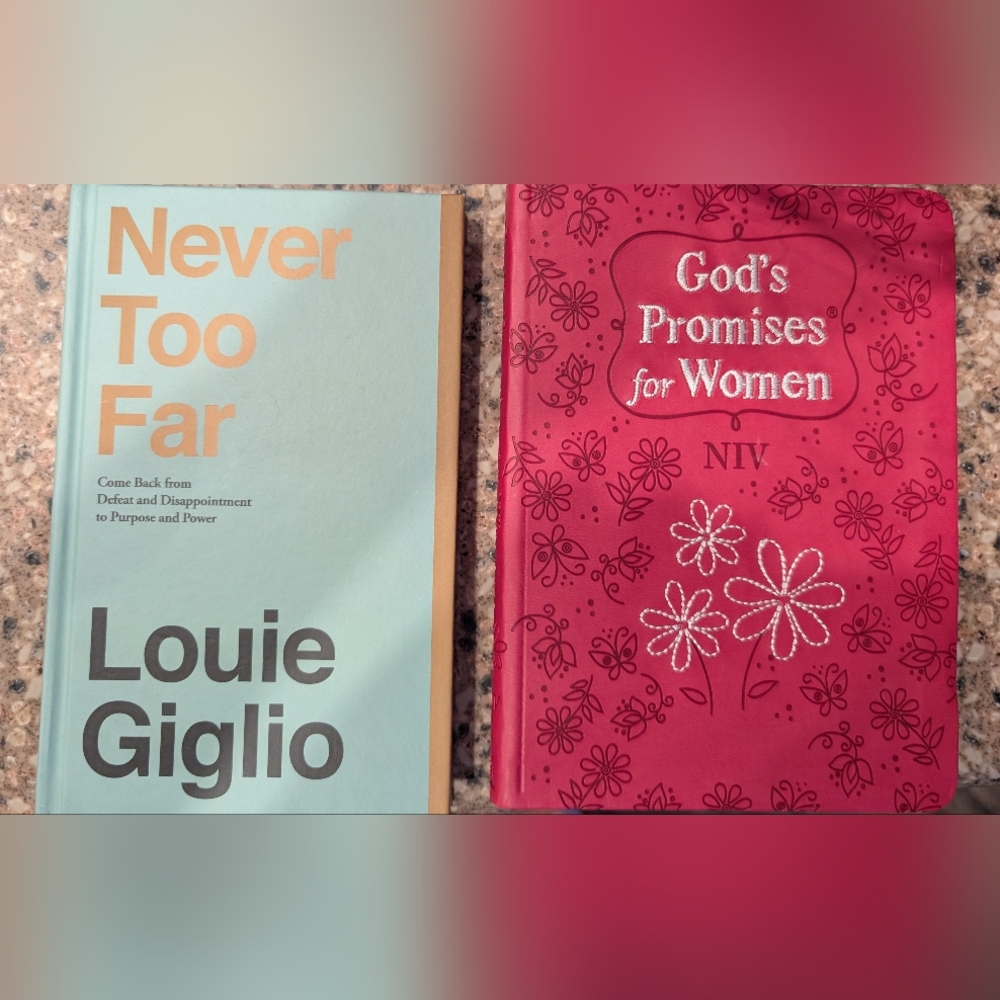 🆕"Never Too Far' Louie Giglio AND "God's Promises for Women" NIV Both NEW